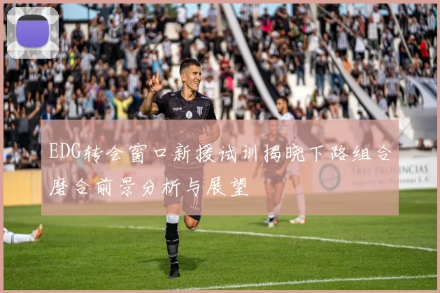 EDG转会窗口新援试训揭晓下路组合磨合前景分析与展望
