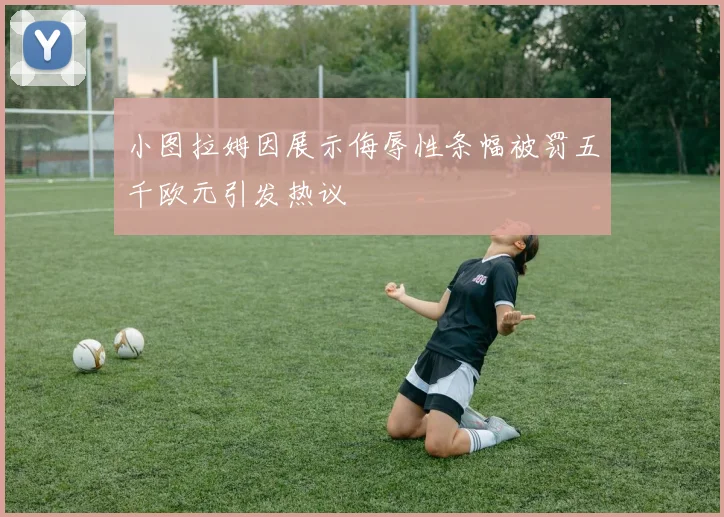小图拉姆因展示侮辱性条幅被罚五千欧元引发热议